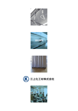 会社案内（PDF） - 三上化工材株式会社
