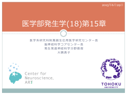 (18)：第十五章【】