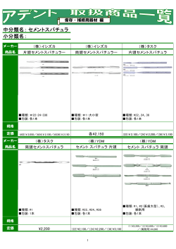 中分類名： 小分類名： セメントスパチュラ