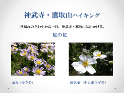 神武寺・鷹取山ハイキングPDF