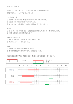 2015 年 2 月 25 日 カボチャ・バターナッツ タキイ交配（タキイ種苗株式