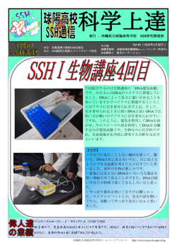 DNA電気泳動 - 沖縄県立球陽高等学校
