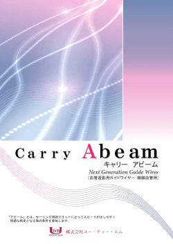 Carry Abeam （微細血管用）
