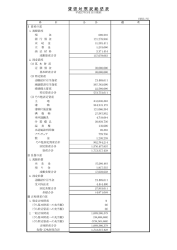 貸 借 対 照 表 総 括 表