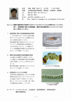 中越 英樹