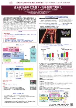 虚血肢治療用低侵襲ナノ粒子製剤の実用化