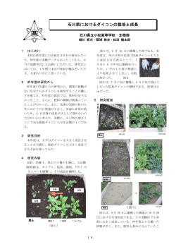 石川県におけるダイコンの栽培と成長