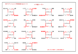 東アジア宮崎大会・予選・決勝トーナメント成績表