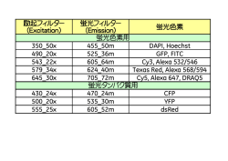 励起フィルター （Excitation Excitation Excitation） 蛍光フィルター