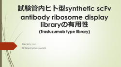試験管内ヒト型synthetic scFv antibody ribosome display libraryの