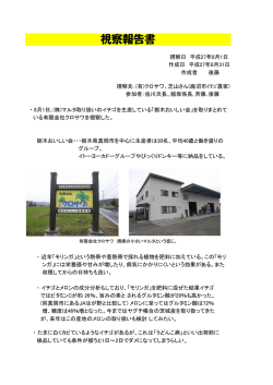 視察報告書