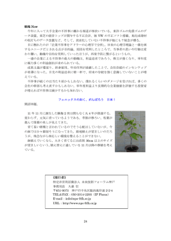 蝋梅 Now - NPO法人 未来技術フォーラム神戸 Top Page
