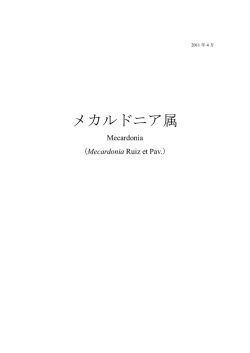 メカルドニア属