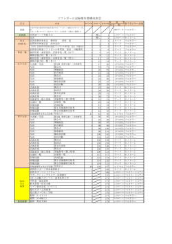 02-2 ソフトボール記録報告書構成表   （PDFファイル）