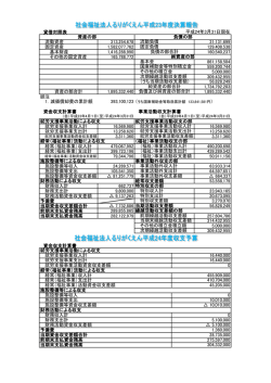 貸借対照表 流動資産 313,254,678 31,131,699 固定資産