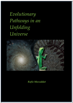 Concluding remarks - Evolutionary Pathways in an Unfolding Universe