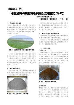 水生植物の炭化物を利用した堆肥について