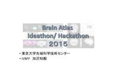 IVB=PF - INCF Japan Node