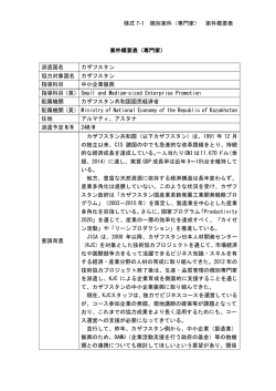 様式 7-1 個別案件（専門家） 案件概要表 案件概要表（専門家）