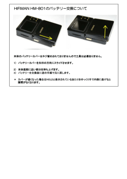 HiFiMAN HM HiFiMAN HM