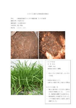 エヌケイに関する作物別使用事例3 件名 ：堆肥番長施用 モミガラ堆肥