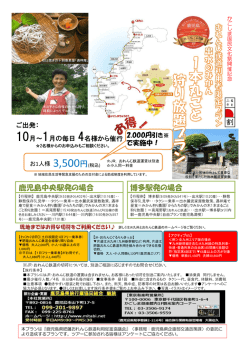 出水のみかん1本丸ごと狩り放題プラン