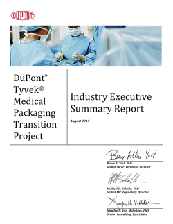 Industry Executive Summary Report（日本語）