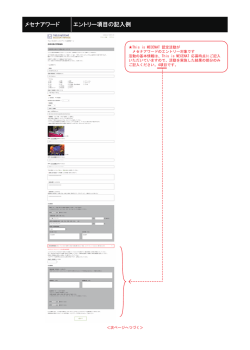 メセナアワード エントリー項目の記入例