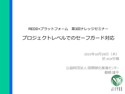 プロジェクトレベルでのセーフガード対応