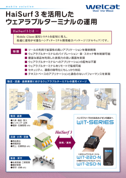 HaiSurf 3_表面