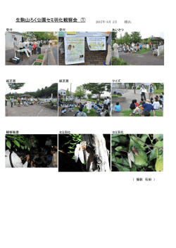 生駒山ろく公園セミ羽化観察会 ①