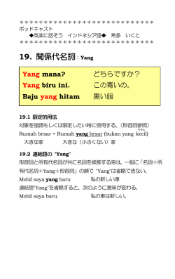 19. 関係代名詞：Yang