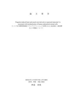 論文要旨（要約）
