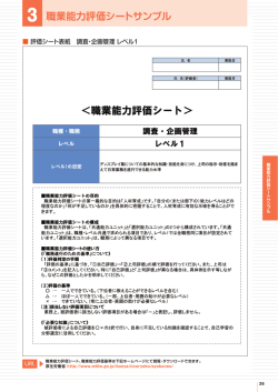 職業能力評価シートサンプル - 職業能力評価基準
