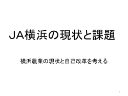 こちら（PDF） - JA人づくり研究会