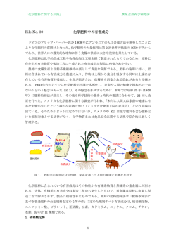File No. 39 化学肥料中の有害成分