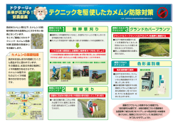 色彩選別機