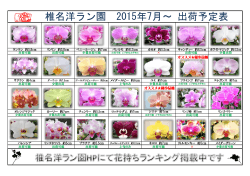 椎名洋ラン園 2015年7月～ 出荷予定表