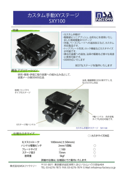 カスタム手動XYステージ SXY100