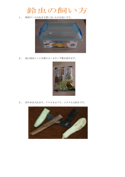 鈴虫の飼い方