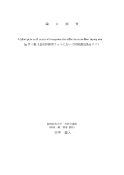 論文要旨（要約）