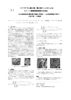 要旨 口頭発表A会場（PDF/約3MByte）