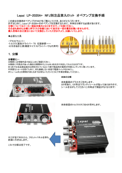 Lepai LP-2020A+ NFJ別注品第九ロット オペアンプ交換手順