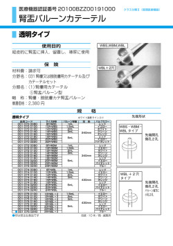 腎盂バルーンカテーテル