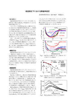 低温高圧下における帯磁率測定 C0 P