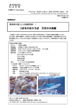 博多駅の屋上に水族館登場！！つばめの杜ひろば 天空の水族館