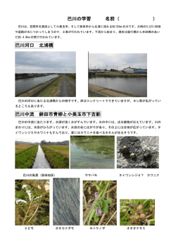 観察資料