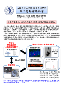 分子行動神経科学 - 大阪大学大学院医学系研究科・医学部