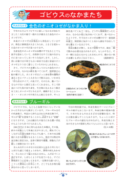 4ページ：ゴビウスのなかまたち