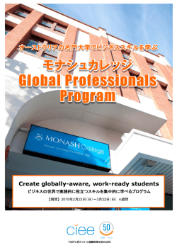 Global Professionals Program